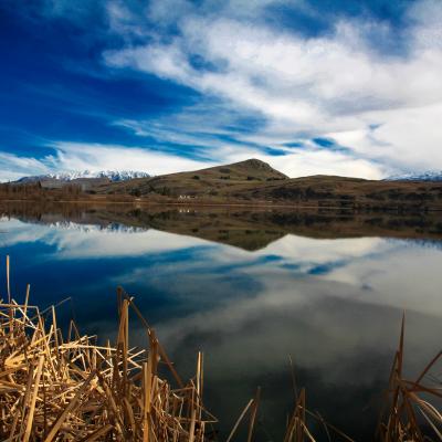 Reflection Ll 2