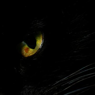 Darkness